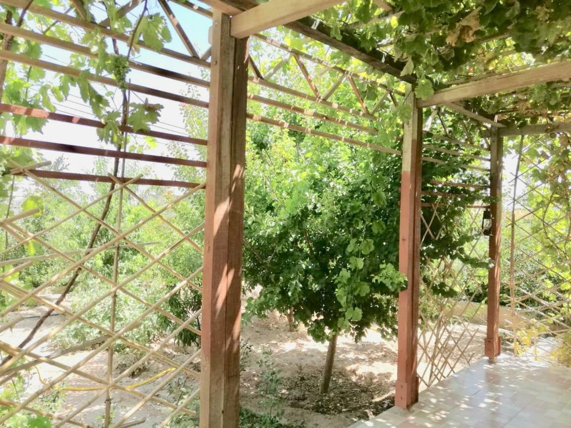Villa الجبل الاخضر Isterahat Aljabel Alakhdar Hayl Yaman Exterior foto